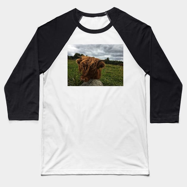 Scottish Highland Cattle Calf 2055 Baseball T-Shirt by SaarelaHighland